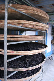 caffè, Chicco di caffe, arrostito, cibo e bevande, nessuno, grande gruppo di oggetti, pila, legno - materiale, cibo, in casa, giorno, abbondanza, avvicinamento, natura morta, mangiare sano, architettura, attività commerciale, contenitore, concentrarsi sulle conoscenze acquisite, freschezza, industria alimentare e delle bevande, benessere, 2K, CC0, dominio pubblico, privo di copyright