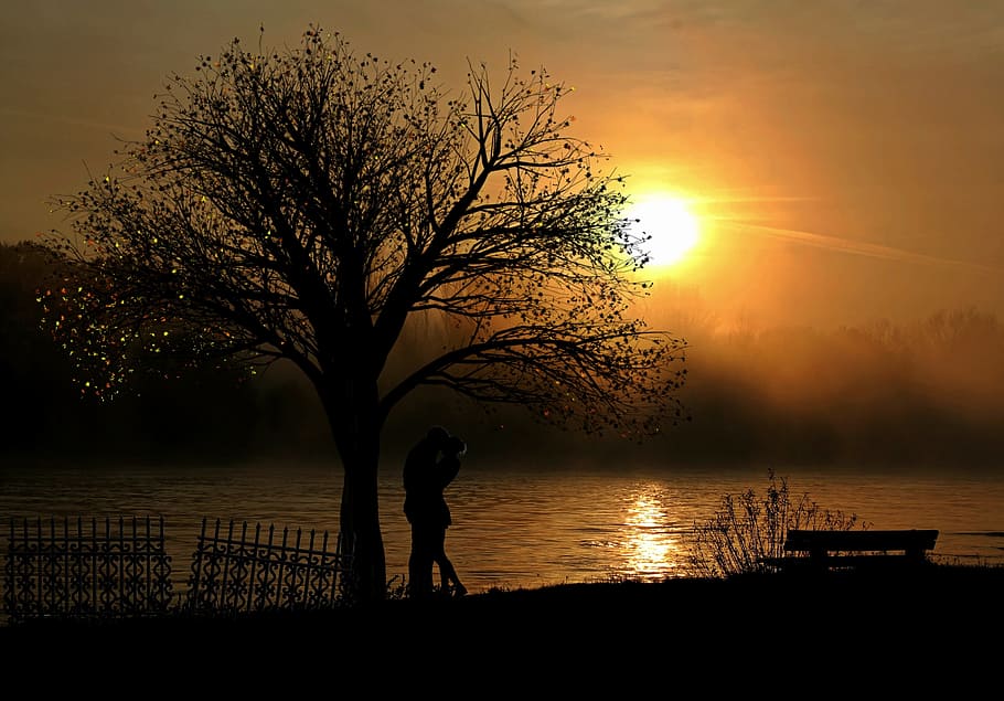 silueta de parella, arbre, amants, parell, amor, posta de sol, romanç, llac, banc, naturalesa, relació, feliç, amistat, combina, moments, silueta, llum de fons, parella, cita, reunió, personal, compromís, proposta de matrimoni, paisatge, sol, romàntic, una persona, aigua, cel, de peu, bellesa a la natura, persones reals, planta, escenics - natura, color taronja, longitud completa, activitat d'oci, estils de vida, escena tranquil·la, a l'aire lliure, 2K