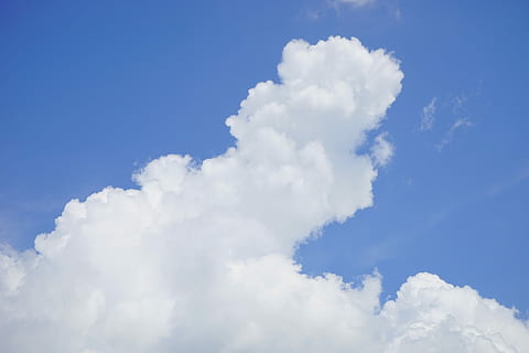 nori, cloudformation, alb, cer, albastru, cumulus, forme de nori, nor de buchet de, cumulus nori, vreme, fenomenul meteorologic, atmosfera, fenomen meteorologic, climat, nor - cer, Cloudscape, fundaluri, culoare alba, frumusețe în natură, scenice - natura, idilic, o scenă liniștită, liniște, natură, nici o persoana, vedere unghiulară joasă, zi, în aer liber, pufos, lumina soarelui, moliciune, meteorologie, 5K, CC0, domeniu public, fără drepturi de autor