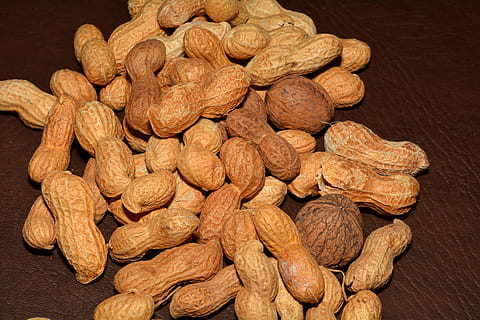 arahide, nuci, nutriție, sănătos, mancare si bautura, alimente, nuca, grup mare de obiecte, bunăstare, prospeţime, natură moartă, abundenţă, în interior, piuliță - mâncare, mâncat sănătos, a închide, maro, nici o persoana, fruct, masa, vedere în unghi mare, studio shot, mancare uscata, arahide - alimente, gustare, Fundal negru, diete, 5K, CC0, domeniu public, fără drepturi de autor