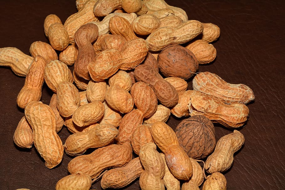 arahide, nuci, nutriție, sănătos, mancare si bautura, alimente, nuca, grup mare de obiecte, bunăstare, prospeţime, natură moartă, abundenţă, în interior, piuliță - mâncare, mâncat sănătos, a închide, maro, nici o persoana, fruct, masa, vedere în unghi mare, studio shot, mancare uscata, arahide - alimente, gustare, Fundal negru, diete, 5K