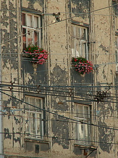 Wand, Fenster, Blumen, Gebäude, brno, die Architektur, Europa, alt, städtische Szene, gebaute Struktur, Gebäudehülle, Blume, blühende Pflanze, Pflanze, keine Leute, Wohngegend, Tag, Wachstum, Balkon, Natur, draußen, Fensterbox, Flachwinkelansicht, Frische, Wandbau - Funktion, Topfpflanze, Wohnung, Blumentopf, 2K, CC0, gemeinfrei, lizenzfrei