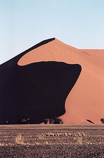 namibia, Duna, sand, ørken, Afrika, landskab, skygge, skygger, ensomhed, fred, rød, natur, klit 45, Klit, himmel, jord, miljø, skyfri himmel, tørt klima, ingen mennesker, klima, scenics - natur, rolig scene, ro, skønhed i naturen, dag, udendørs, rejsemål, ikke-urbane scene, 2K, CC0, offentligt domæne, royaltyfrie
