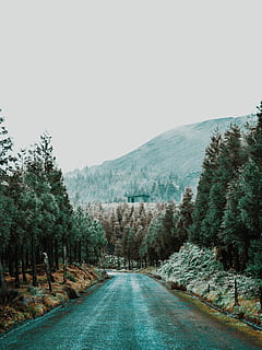 Traumhaus, schwarz, Asphaltstraße, Mitte, Bäume, tagsüber, Berg, Baum, Straße, Wald, Pflanze, der Weg nach vorn, Himmel, Transport, Richtung, klarer Himmel, Schönheit in der Natur, Ruhe, kopieren sie platz, Natur, abnehmende Perspektive, ruhige Szene, keine Leute, Szenen - Natur, Tag, Landschaft, Nicht-städtische Szene, draußen, lange, 2K, CC0, gemeinfrei, lizenzfrei