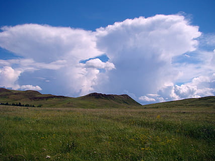 sky, steppe, spring, cloud - sky, tranquil scene, beauty in nature, scenics - nature, tranquility, grass, environment, landscape, non-urban scene, plant, land, field, no people, nature, day, mountain, outdoors, idyllic, remote, 2K, CC0, public domain, royalty free