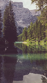 verd, fulles, bosc, cos, aigua, arbres, boscos, reflexió, riu, llac, naturalesa, muntanya, viatjar, aventura, arbre, cap gent, escenics, escena tranquil·la, planta, escenics - natura, tranquil·litat, bellesa a la natura, escena no urbana, dia, idíl·lic, davant del mar, creixement, terra, a l'aire lliure, 4K