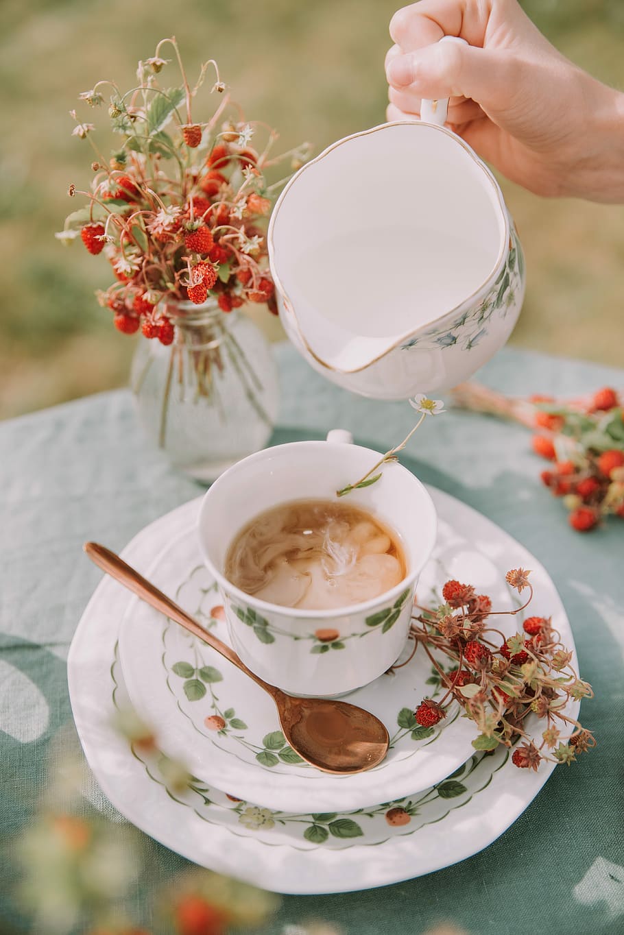 Person, Gießen, Weiß, Flüssigkeit, Tasse, halten, Keramik, Krug, Essen und Trinken, menschliche Hand, Getränk, Hand, Tabelle, Erfrischung, eine Person, Lebensmittel, Frische, echte Menschen, menschliches Körperteil, Becher, Blume, Küchenutensilien, blühende Pflanze, Löffel, heisses Getränk, Untertasse, Tee - heißes Getränk, Geschirr, Teetasse, Finger, 5K