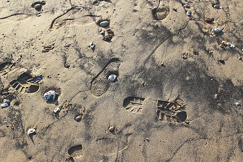 de praia, cartuchos, feriados, praia arenosa, Rocha, a orla, terra, areia, visão de alto ângulo, dia, natureza, luz solar, ao ar livre, ninguém, Concha, tranquilidade, beleza na natureza, pista de pneus, quadro completo, feriado, padronizar, mar, pegada, molhado, viagem, 1080P, CC0, domínio público, royalty free