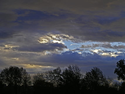 sky, storm clouds, clouds, light, trees, weather, dark, stormy, storm, autumn, tree, cloud - sky, plant, beauty in nature, tranquility, tranquil scene, scenics - nature, silhouette, low angle view, nature, no people, growth, outdoors, non-urban scene, sunset, idyllic, dramatic sky, dusk, 2K, CC0, public domain, royalty free