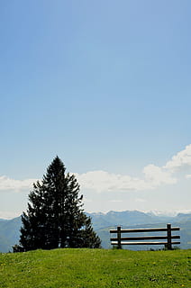 Austria, Alpes, excursión, montaña, naturaleza, montañas, paisaje alpino, nube, descanso, pino, hospicio, cielo, planta, árbol, belleza en la naturaleza, tierra, campo, tranquilidad, hierba, escena tranquila, paisaje, crecimiento, copia espacio, paisajes - naturaleza, azul, día, nube - cielo, nadie, ambiente, escena no urbana, al aire libre, 4K, CC0, dominio público, libre de derechos