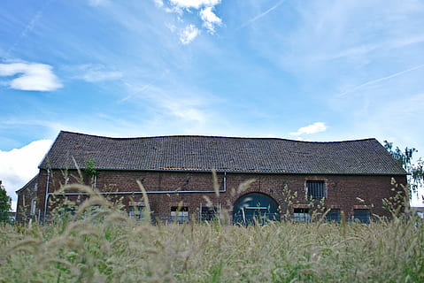 fienile, campo, grano, Mais, azienda agricola, rurale, scena rurale, vecchio, Casa, legno - materiale, tetto, villaggio, vecchio stile, architettura, rustico, culture, esterno dell'edificio, struttura costruita, cielo, pianta, costruzione, nuvola - cielo, erba, natura, nessuno, paesaggio, terra, giorno, abbandonato, quartiere residenziale, all'aperto, 2K, CC0, dominio pubblico, privo di copyright