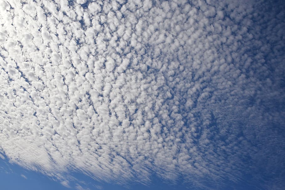 cel, blau, núvol, naturalesa, cel blau, sol, ovelles, estiu, aire, felicitat, esperança, dia, cel ennuvolat, blanc, llums, ennuvolat, contrast, núvol - cel, cloudscape, bellesa a la natura, cap gent, escenics - natura, fons, Color blanc, tranquil·litat, a l'aire lliure, vista d’angle baix, patró, marc complet, esponjós, idíl·lic, meteorologia, 5K