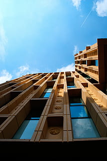 biblioteca, rosetón, Arnhem, arquitectura, roseta de la biblioteca, exterior del edificio, estructura construida, vista de ángulo bajo, cielo, edificio - actividad, edificio, nube - cielo, ciudad, naturaleza, día, nadie, luz del sol, al aire libre, azul, ventana, Distrito residencial, moderno, reflexión, altura maxima, material de vidrio, apartamento, directamente debajo, 4K, CC0, dominio público, libre de derechos