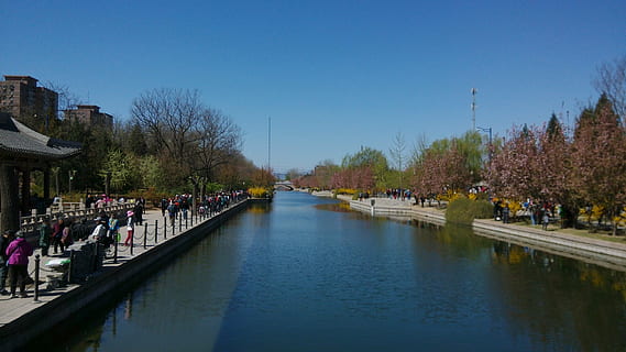 canale, primavera, gita, visitatore, acqua, naturale, folla, gruppo di persone, albero, architettura, grande gruppo di persone, pianta, esterno dell'edificio, natura, giorno, struttura costruita, cielo, riflessione, lungomare, città, persone reali, cielo sereno, lago, all'aperto, 4K, CC0, dominio pubblico, privo di copyright