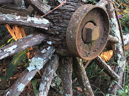 ruota del carro, rustico, ruota rustica, carro, ruota, vecchio, antico, Vintage ▾, di legno, legna, mezzi di trasporto, occidentale, rurale, storia, retrò, trasporto, azienda agricola, arrugginito, storico, nazione, viaggio, fatto a mano, raggi, intemperie, metallo, pioniere, lichene, anziano, legname, Marrone, rotto, logoro, ruvido, naturale, fotografie, reali, grano, foto d'archivio, legno - materiale, albero, all'aperto, abbandonato, nessuno, giorno, foresta, natura, terra, campo, ceppo, pianta, avvicinamento, tronco d'albero, danneggiato, legna da ardere, deterioramento, 4K, CC0, dominio pubblico, privo di copyright