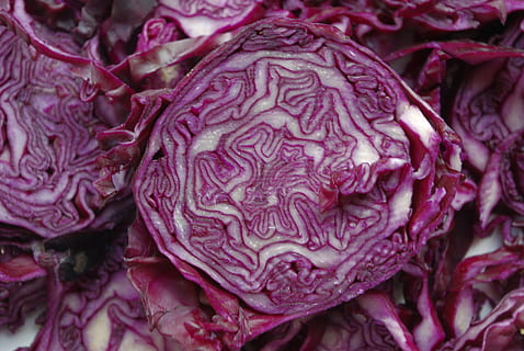 Foto, lila, Weiß, geschnitten, Gemüse, Rotkohl, violett, Kohl, Lebensmittel, Essen, Garten, gesund, Ernte, Schnitt, Kreuzung, Blau, Essen und Trinken, gesundes Essen, Wohlbefinden, Frische, Nahansicht, Vollbild, Rohkost, keine Leute, Hintergründe, drinnen, Studioaufnahme, organisch, Stillleben, rot, Muster, vegetarisches Essen, 4K, CC0, gemeinfrei, lizenzfrei
