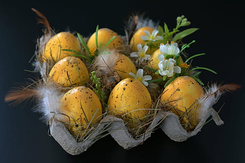 ni, gul, egg, grå, eggskuff, påskeegg, påske nest, påske, vår, dekorasjon, påske dekorasjon, god påske, fargerike egg, farge, påske dekorasjoner, egg boks, malt, fjær, tilpasset, maling, påskehilsener, påske feiring, mat og Drikke, mat, friskhet, anlegg, ingen folk, svart bakgrunn, nærbilde, spise sunt, natur, velvære, studio skudd, innendørs, frukt, fokusere på forgrunnen, blomst, grønnsak, blomstrende plante, stilleben, gruppe av objekter, liten gruppe gjenstander, 4K, CC0, offentlig domene, opphavsrett gratis