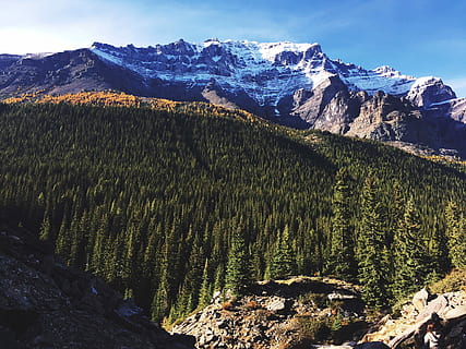 Skov, gletsjerbjerge, dag, antenne, Foto, træer, bjerg, dækket, sne, træ, spids, natur, landskab, fyrretræ, himmel, Canada, banff, skønhed i naturen, scenics - natur, rolig scene, ro, plante, bjergkæde, ikke-urbane scene, miljø, ingen mennesker, klippe, solid, vinter, jord, udendørs, snedækket bjerg, formation, nåletræ, bjergtop, 1080P, CC0, offentligt domæne, royaltyfrie