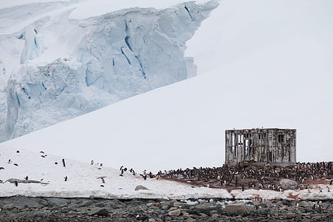 temple, snow mountain, group, penguins, gray, structure, Abandoned base, snow, winter, mountain, ice, cold - Temperature, nature, outdoors, cold temperature, day, industry, landscape, architecture, beauty in nature, environment, scenics - nature, built structure, no people, white color, frozen, sky, solid, rock, snowcapped mountain, 5K, CC0, public domain, royalty free