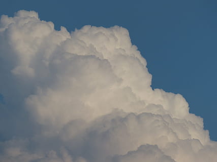cumulus skyer, Sky, cumulus, tordenvejr, himmel, blå, regn, vejr, skyer form, stålblå, sky af flok af, sky - himmel, natur, ro, ingen mennesker, lav vinkel visning, skønhed i naturen, scenics - natur, rolig scene, dag, idyllisk, cloudscape, fluffy, udendørs, blødhed, sollys, hvid farve, kopiere plads, meteorologi, 4K, CC0, offentligt domæne, royaltyfrie