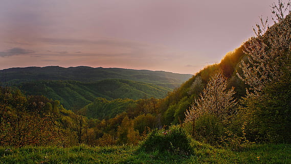 fotografia di paesaggio, verde, montagne, alberi, montagne verdi, natura, paesaggio, Paesaggi, all'aperto, collina, albero, tramonto, foresta, cielo, scena rurale, erba, montagna, bellezza nella natura, prato, autunno, estate, luce del sole, nuvola - cielo, scena non urbana, campo, agricoltura, ambiente, scenics - natura, terra, pianta, mattina, sole, nessuno, primavera, 4K, CC0, dominio pubblico, privo di copyright