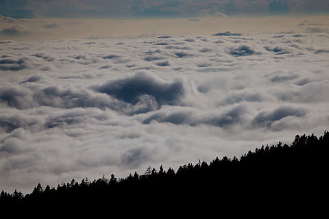 Wolken, Waldschattenbild, Antenne, Foto, Weiß, Himmel, Wolke, flauschige, Landschaft, Baum, wolke - himmel, Szenen - Natur, Schönheit in der Natur, Ruhe, ruhige Szene, Pflanze, keine Leute, Natur, Silhouette, Nicht-städtische Szene, Wald, Wachstum, Tag, idyllisch, draußen, Sonnenuntergang, Land, 5K, CC0, gemeinfrei, lizenzfrei