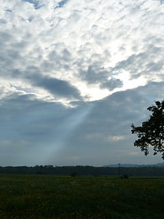 sluneční paprsek, mraky, nebe, průlom, Příroda, krajina, mrak - nebe, strom, venku, rostlina, krása v přírodě, klidné scény, klid, scenics - příroda, životní prostředí, pole, přistát, nikdo, mimoměstské scény, den, idylický, růst, 4K, CC0, veřejná doména, bez autorských práv