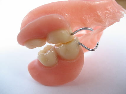 teeth, tooth, human, pine, clasp, third parties, food and drink, food, studio shot, freshness, close-up, indoors, white background, healthy eating, single object, cut out, wellbeing, fruit, no people, egg yolk, vegetable, nature, drop, egg, raw food, 2K, CC0, public domain, royalty free