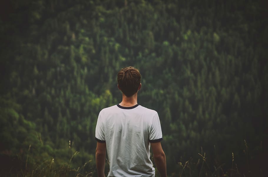 uomo, bianca, nero, camicia di suoneria, uomo in bianco, bianco e nero, camicia, uomini, una persona, all'aperto, natura, retrovisore, adulto, persone, etnia caucasica, immagine a colori, rilassamento, persone reali, dalla vita in su, abbigliamento casual, in piedi, stili di vita, attività di svago, terra, pianta, giovani uomini, giovane adulto, concentrarsi sulle conoscenze acquisite, giorno, albero, crescita, foresta, acconciatura, 4K