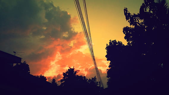 puesta de sol, noche, nubes, nubes rojas, naturaleza, silueta, árbol, nube - cielo, cielo, planta, vista de ángulo bajo, nadie, belleza en la naturaleza, color naranja, crecimiento, tranquilidad, cable, escena tranquila, al aire libre, arquitectura, paisajes - naturaleza, idílico, transporte, fuente de alimentación, linea telefonica, 4K, CC0, dominio público, libre de derechos