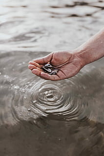 touching the water, Touching, water, sea, hand, male, waterscape, man's hand, human Hand, nature, people, close-up, outdoors, wet, river, men, human body part, one person, one man only, adults only, mature adult, real people, day, body part, holding, lifestyles, rippled, finger, human finger, focus on foreground, motion, human limb, 5K