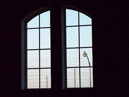 ventanas, visión, vista lejana, cielo, ligero, transparente, ambiente, casa, vaso, idea, limpiar, diseño, silueta, conjunto, creativo, sombra, forma, elegante, decoración, luz de la calle, ver, interior, ventana, arquitectura, una persona, adentro, día, material de vidrio, edificio, adulto, mirando por la ventana, longitud total, Entrada, en pie, adulto joven, estructura construida, hombres, puerta, marco de la ventana, 2K, CC0, dominio público, libre de derechos