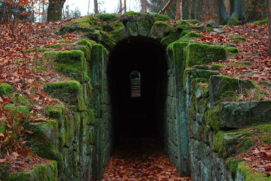 túnel, cobert, molsa, full, fusta, Camí, instruccions, arbre, pedra, naturalesa, paisatge, viatjar, tardor, parc, planta, herba, secret, jardí, la llum del dia, arc, arquitectura, el camí a seguir, direcció, dia, estructura construïda, cap gent, història, bosc, el passat, terra, color verd, a l'aire lliure, perspectiva decreixent, creixement, tranquil·litat, 5K