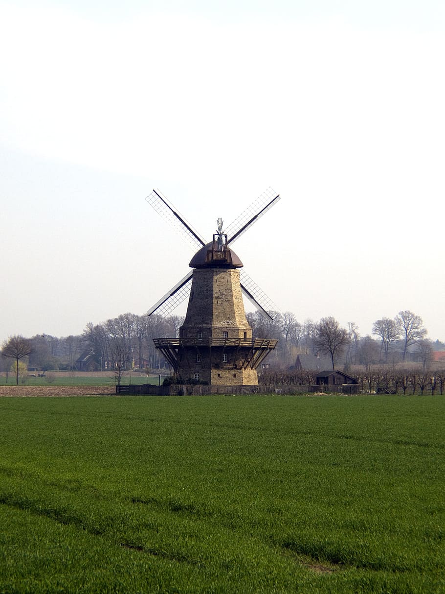 ala, antic molí, molí de vent, molí, vell, nostàlgia, edifici, truss, energia eòlica, romàntic, windräder, kinderdijk, història, Països Baixos, escena rural, molí de vent tradicional, naturalesa, lloc famós, cultures, arquitectura, cultura holandesa, agricultura, europa, cel, paisatge, aerogenerador, energia alternativa, camp, herba, medi ambient, energia renovable, conservació del medi ambient, planta, terra, generació de combustible i energia, turbina, color verd, cel clar, dia, cap gent, a l'aire lliure, 2K