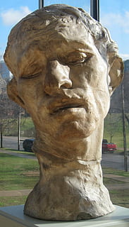 buste, hoved, pierre, de, Wissant, gips, auguste, Rodin, Cleveland, museum, skulpturer, europæisk, statue, ansigt, gammel, hvid, mand, portræt, klassisk, antik, monument, symbol, person, skulptur, Kunst og håndværk, repræsentation, menneskelig repræsentation, kreativitet, ingen mennesker, mandlig lighed, håndværk, tæt på, dag, arkitektur, parkere, fokus på forgrunden, park - mand skabt plads, natur, udendørs, carving - håndværk produkt, rejse, 1080P, CC0, offentligt domæne, royaltyfrie