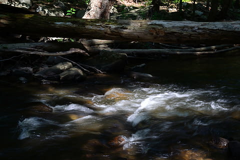 river, stream, nature, log, woods, water, flowing, spring, cascade, creek, landscape, peaceful, motion, tree, forest, flowing water, no people, beauty in nature, scenics - nature, land, blurred motion, waterfront, day, tranquility, rock, long exposure, plant, outdoors, stream - flowing water, power in nature, 4K, CC0, public domain, royalty free