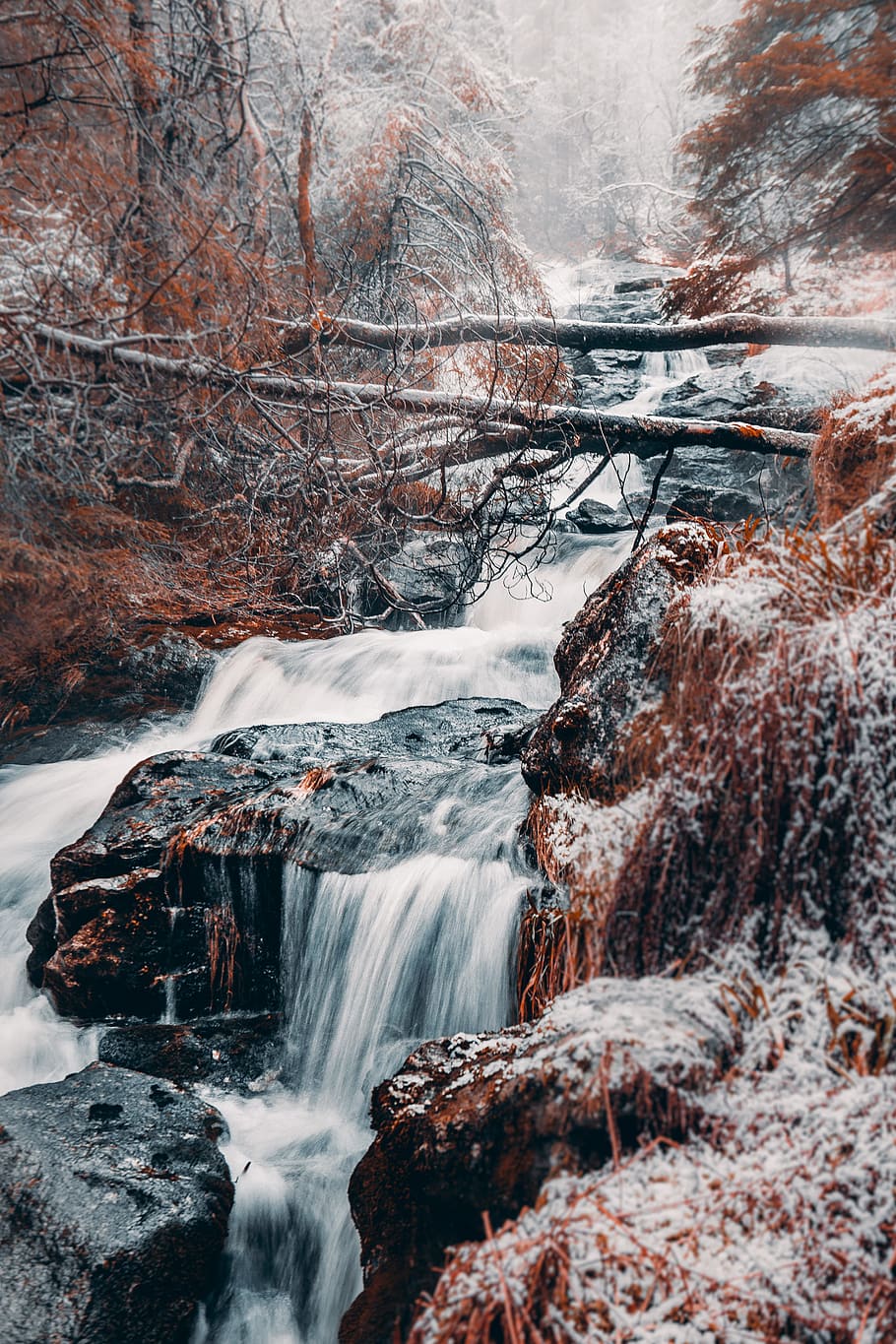 marró, arbre alterat, rierol del riu, bergen, cascada, fred, bosc, gelada, naturalesa, noruega, a l'aire lliure, riu, roques, escènic, temporada, neu, corrent, arbres, aigua, cascades, temps, hivern, boscos, arbre, escenics - natura, bellesa a la natura, aigua que flueix, temperatura de fred, exposició llarga, moviment, que flueix, moviment borrós, medi ambient, cap gent, terra, poder a la natura, gel, rierol: aigua que flueix, 5K