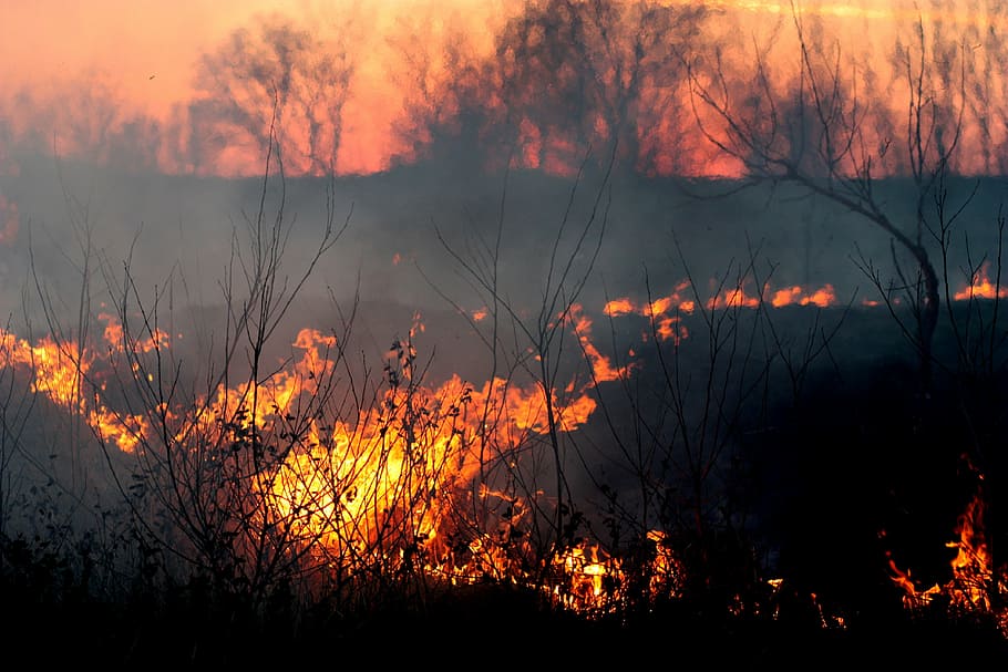 arbrat forestal, foc, fum, posta de sol, vermell, desastre, apocalíptic, horror, naturalesa, color taronja, a l'aire lliure, vespre, paisatge, llum solar, arbre, cremant, foc - fenomen natural, flama, calor - temperatura, planta, terra, cap gent, bellesa a la natura, incendi forestal, aigua, silueta, fum - estructura física, bosc, medi ambient, Pol · lució, 4K