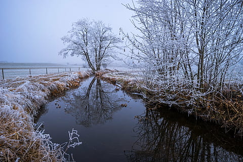 desnudo, arboles, cubierto, nieve, fondo de pantalla, fondo de escritorio, invierno, imagen de fondo, fondo, escritorio, azul, espejo, naturaleza, invernal, paisaje, estanque, reflejo, agua, reflexión, superficie del agua, resplandecer, reflexiones, victoria, árbol, Strauss, descanso, tranquilo, escarcha, escarchado, frío, al aire libre, afuera, hermoso, naranja, caña, cristales, hielo, eiskristalle, lago, planta, tranquilidad, árbol desnudo, belleza en la naturaleza, escena tranquila, temperatura fría, paisajes - naturaleza, nadie, cielo, tierra, rama, 5K, CC0, dominio público, libre de derechos