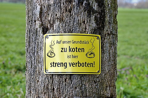 drzewo, tarcza, pies, śmieszne, gassi, zakaz, ostrzeżenie, tekst, pismo zachodnie, znak ostrzegawczy, pnia drzewa, zagrożenie, porozumiewanie się, znak, bagażnik samochodowy, roślina, żółty, Natura, skupić się na pierwszym planie, Informacja, dzień, zbliżenie, żadnych ludzi, znak informacyjny, wylądować, poradnictwo, na dworze, wiadomość, szczekać, 4K, CC0, domena publiczna, darmowe zdjęcia