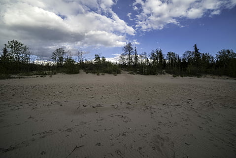 Sanddüne, kleiner, Sklavensee, Provinziell, Park, Wolken, Kleiner Sklavensee Provinzpark, alberta, Strand, Kanada, Dünen, gemeinfrei, Sand, Sträucher, Himmel, Bäume, Natur, Landschaft, Baum, szenen, keine Leute, draußen, Landschaften, wolke - himmel, Reiseorte, Pflanze, Land, Ruhe, ruhige Szene, Szenen - Natur, Umgebung, Nicht-städtische Szene, Schönheit in der Natur, Wachstum, Tag, Feld, Wald, Fernbedienung, 5K, CC0, gemeinfrei, lizenzfrei