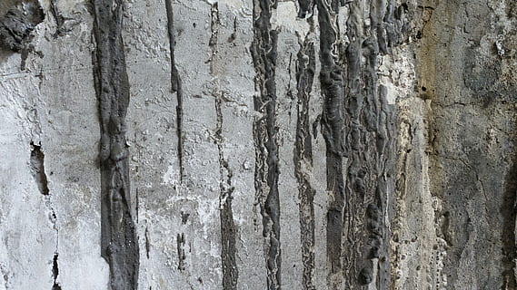 struttura, sfondo, parete, dipingere, sfondi e trame, trame di sfondi, sfondi strutturati, design, grunge, anziano, grungy, macchiato, sporco, strutturato, sfondi, fotogramma intero, avvicinamento, modello, nessuno, ruvido, tronco d'albero, intemperie, caratteristica della parete, tronco, giorno, vecchio, all'aperto, struttura costruita, danneggiato, grigio, corteccia vegetale, natura, architettura, effetto strutturato, 5K, CC0, dominio pubblico, privo di copyright