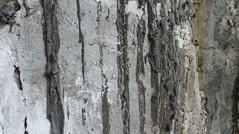 struttura, sfondo, parete, dipingere, sfondi e trame, trame di sfondi, sfondi strutturati, design, grunge, anziano, grungy, macchiato, sporco, strutturato, sfondi, fotogramma intero, avvicinamento, modello, nessuno, ruvido, tronco d'albero, intemperie, caratteristica della parete, tronco, giorno, vecchio, all'aperto, struttura costruita, danneggiato, grigio, corteccia vegetale, natura, architettura, effetto strutturato, 5K