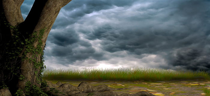 grøn, græs, træstamme, digital, tapet, træ, himmel, natur, baggrund, skyer, landskab, blå, overdækket himmel, sky - himmel, storm, plante, storm sky, tordenvejr, skønhed i naturen, overskyet, ildevarslende, miljø, scenics - natur, dramatisk himmel, jord, ingen mennesker, regn, risiko, udendørs, mørk, magt i naturen, skybrud, 2K, CC0, offentligt domæne, royaltyfrie