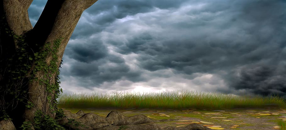 grøn, græs, træstamme, digital, tapet, træ, himmel, natur, baggrund, skyer, landskab, blå, overdækket himmel, sky - himmel, storm, plante, storm sky, tordenvejr, skønhed i naturen, overskyet, ildevarslende, miljø, scenics - natur, dramatisk himmel, jord, ingen mennesker, regn, risiko, udendørs, mørk, magt i naturen, skybrud, 2K