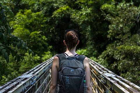 donna, portando, zaino, a piedi, ponte, camminando, natura, all'aperto, foresta, una persona, ponte - struttura fatta dall'uomo, persone, albero, etnia caucasica, adulto, escursioni a piedi, uomini, sentiero, donne, retrovisore, ferrovia, trasporto ferroviario, persone reali, stili di vita, pianta, attività di svago, abbigliamento casual, giovane adulto, in piedi, ringhiera, giorno, colore verde, mezzi di trasporto, traccia, acconciatura, 5K, CC0, dominio pubblico, privo di copyright