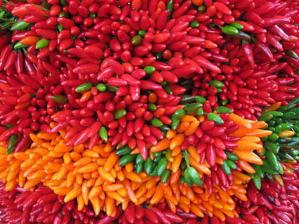 Chili-Pfeffer, Scharf, feurig, rot, mehrfarbig, Lebensmittel, Nahansicht, Essen und Trinken, Hintergründe, Makro, Gelb, Frische, Vollbild, Blume, keine Leute, Fülle, Verkauf, große gruppe von gegenständen, zu verkaufen, Markt, Wohlbefinden, Gemüse, Pfeffer, High Angle View, gesundes Essen, würzen, Marktstand, Verkaufsdisplay, 2K, CC0, gemeinfrei, lizenzfrei