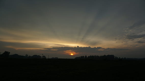 solnedgang, ray, baggrundsbelysning, himmel, scenics - natur, skønhed i naturen, ro, rolig scene, miljø, sky - himmel, silhuet, landskab, ingen mennesker, træ, idyllisk, ikke-urbane scene, natur, orange farve, sol, plante, jord, sollys, udendørs, mørk, 5K, CC0, offentligt domæne, royaltyfrie
