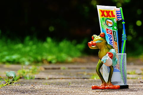 Grün, Frosch, neben, Zahnpasta, Zahnbürste, Zähne putzen, Hygiene, sauber, Zahn, Zahnbürstenkopf, Bürste, Zahnpflege, Gesundheit, Zahnhygiene, Sauberkeit, Bürstenkopf, Pflege, lustig, süß, Lebensmittel, Essen und Trinken, Spielzeug, gesundes Essen, Obst, Kindheit, Fokus auf den Vordergrund, Darstellung, Gemüse, draußen, Kunst, Kultur und Unterhaltung, Essen, Natur, Tag, Korb, Menschen, Spaß, Emotion, Snack, 5K, CC0, gemeinfrei, lizenzfrei
