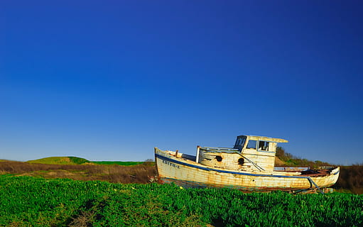 blanc, blau, vaixell, verd, camp de gespa, remolcador, cel, vintage, Vella escola, òxid, herba, camps, cel clar, còpia espai, a l'aire lliure, dia, cap gent, agricultura, naturalesa, planta, manera de transport, transport, vaixell nàutic, terra, assolellat, aigua, escenics - natura, paisatge, color verd, medi ambient, 2K